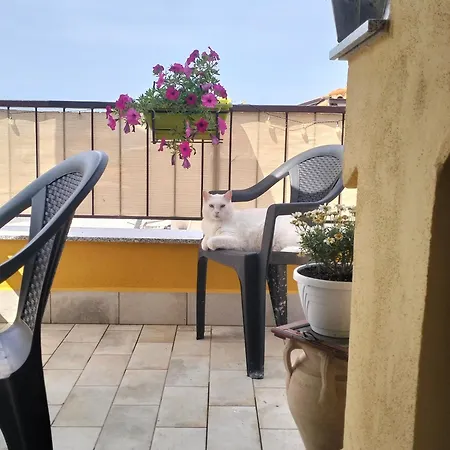 Bed and Breakfast Da Nonna Teta