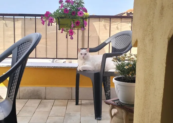 ベッド・アンド・ブレックファスト Da Nonna Teta