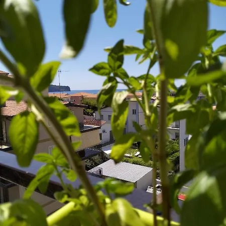 Da Nonna Teta Bed and breakfast Praia a Mare