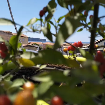 Da Nonna Teta 3* Praia a Mare