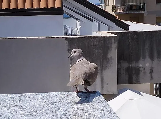 Da Nonna Teta プラーイア・ア・マーレ