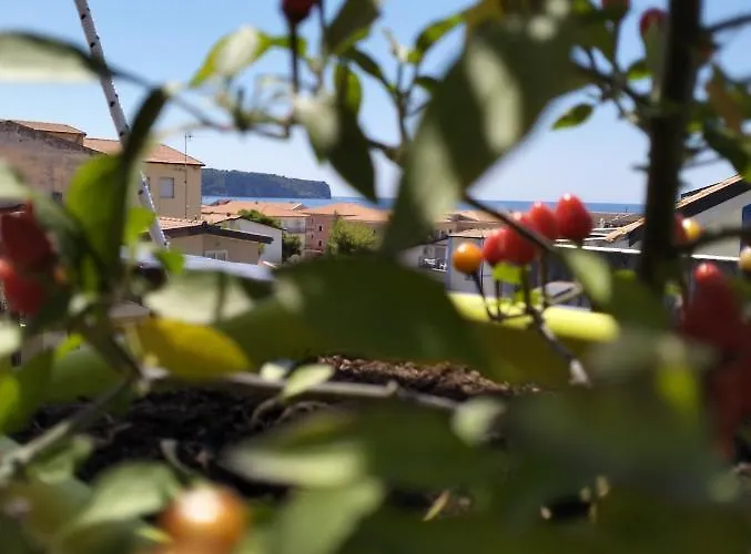 Da Nonna Teta 3* Praia a Mare